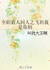 （全职猎人同人）全职猎人同人之飞坦我是你妈