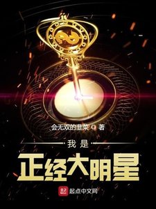 《我是正经大明星》