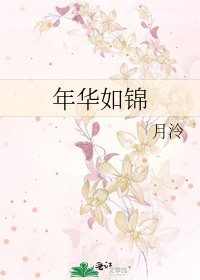 《年華如錦》