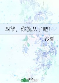 《四爷,你就从了吧!》